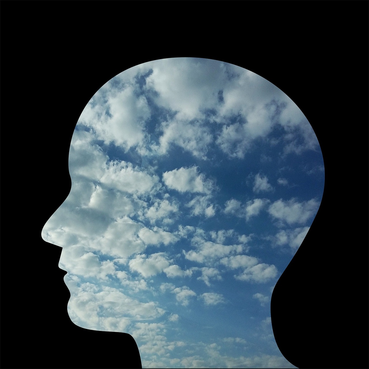 Theory of Mind - A Common Ground for Philosophy and Cognitive Science